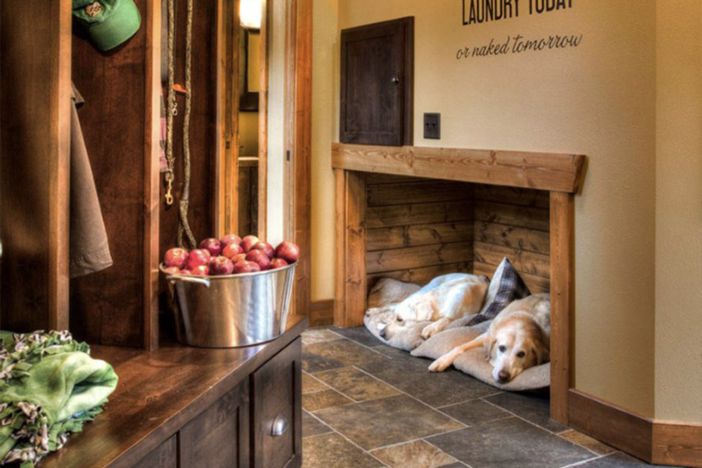 dog interiors